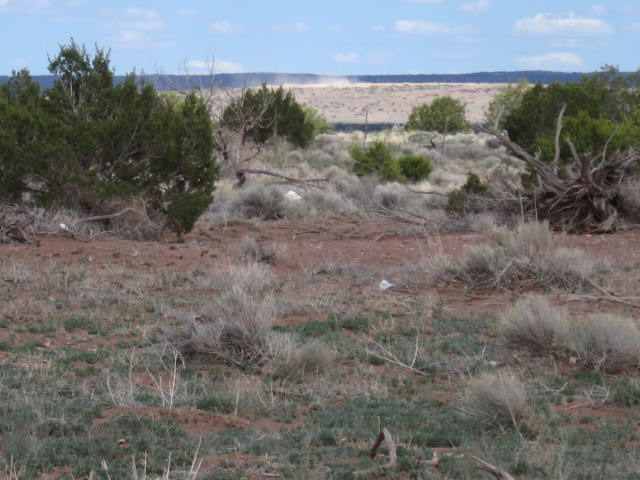 16 Mountain View Springerville, AZ 85938 - Photo 2 of 3