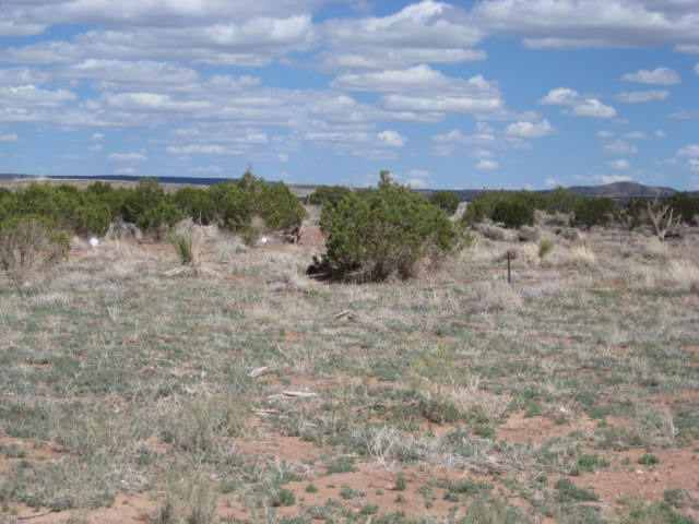 16 Mountain View Springerville, AZ 85938 - Photo 3 of 3
