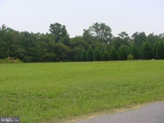 0 Steel Pond Road Stockton, MD 21864 - Photo 1 of 1