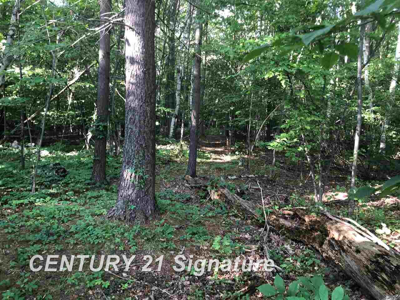 Vl West Linwood Road Linwood, MI 48634 - Photo 12 of 14 Gallery Image 12