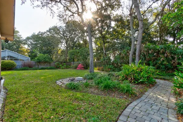 a view of a garden with plants and large trees