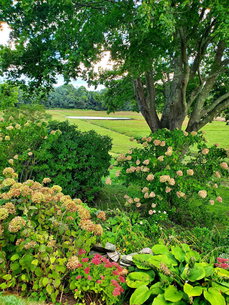 78 Cotuit Road Sandwich, MA 02563 - Photo 62 of 68 Summer views over the bogs