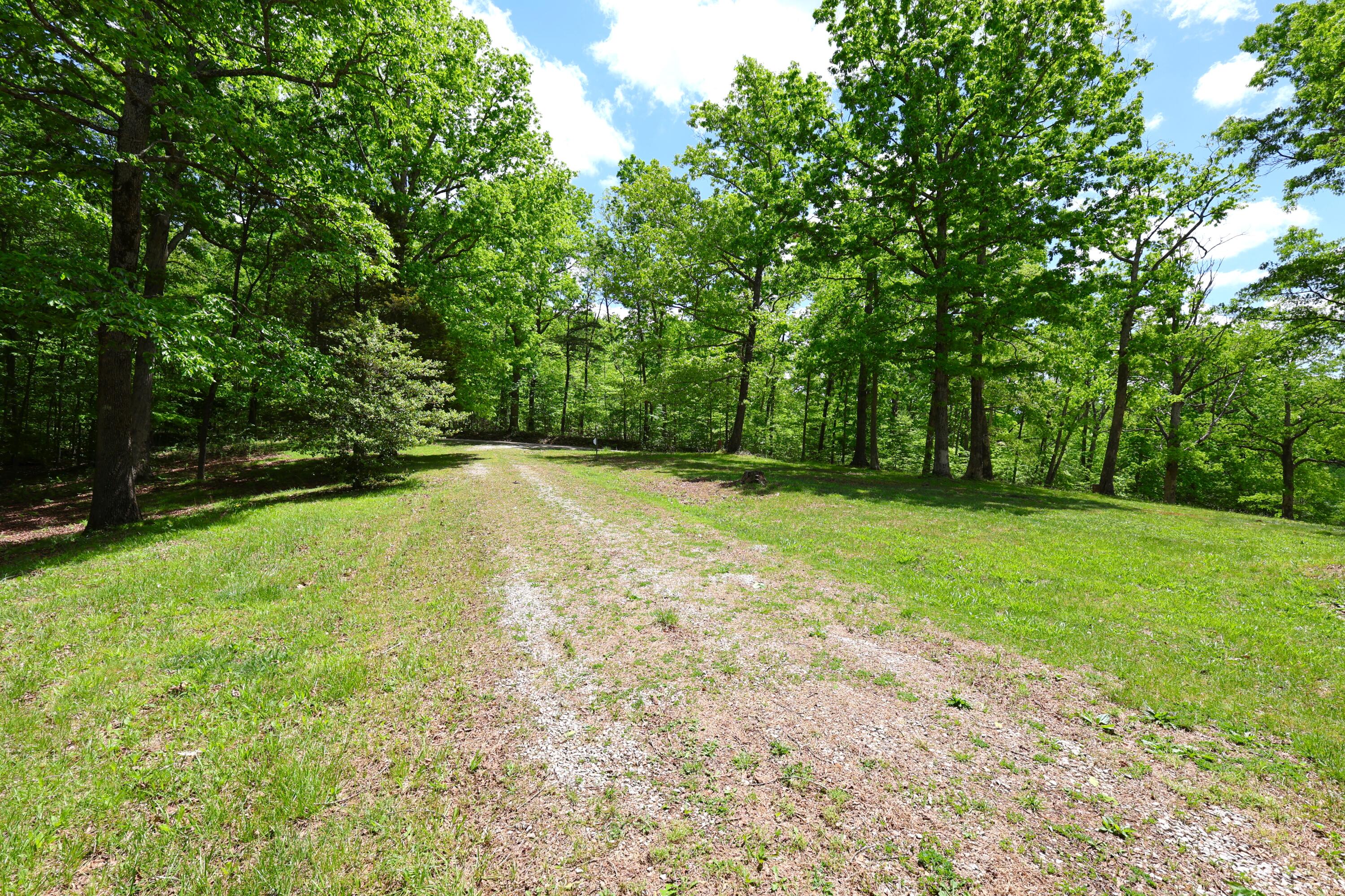 105 Stewart Fork Road Ravenna, KY 40472 - Photo 51 of 59 Looking down drive from house