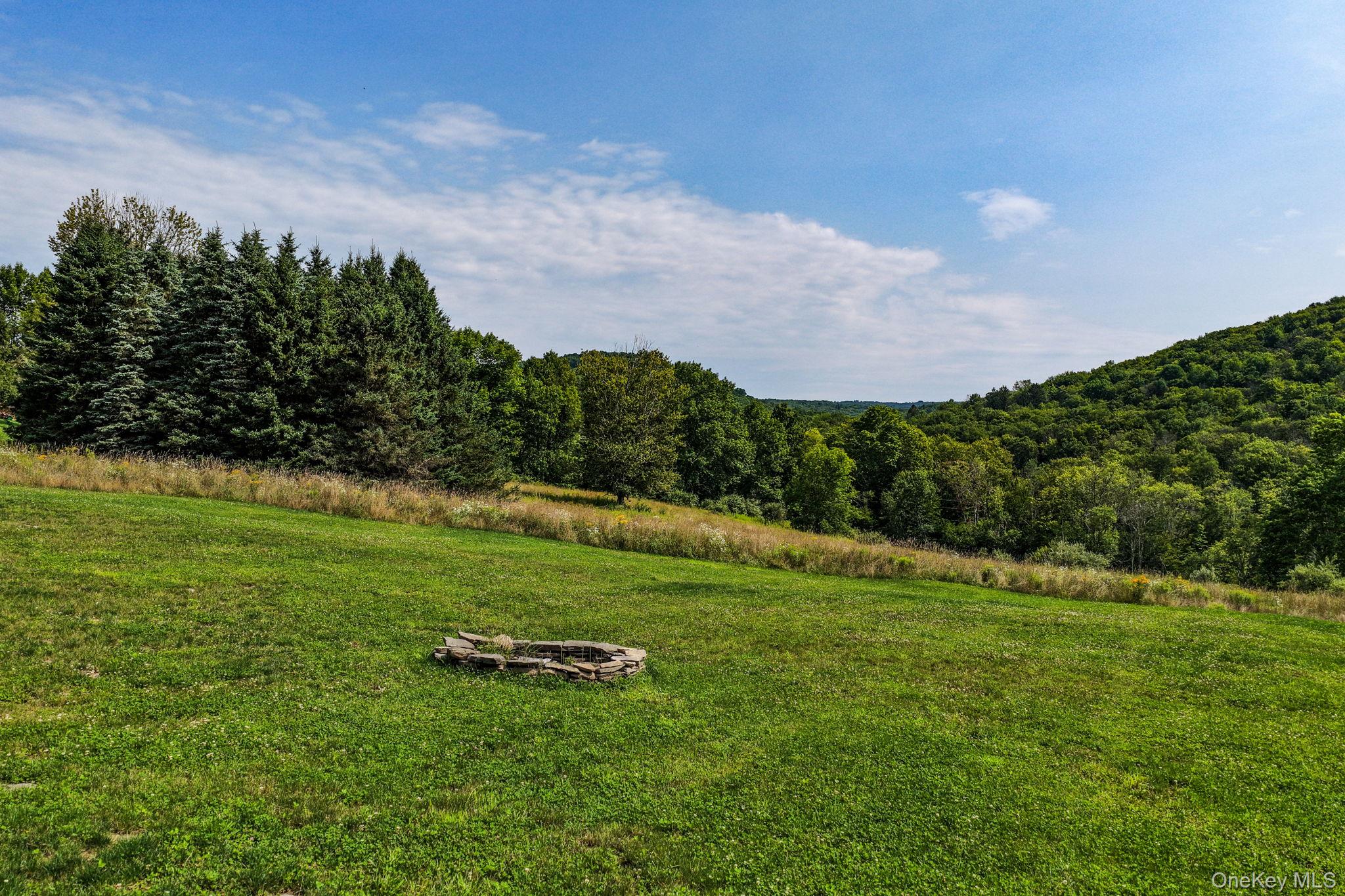 129 Nelson Road Hankins, NY 12741 - Photo 38 of 49 Gallery Image 38