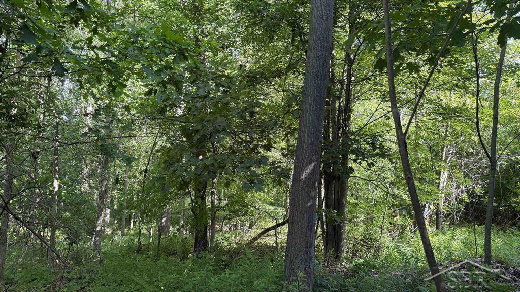 Vl East Gordonville Road Midland, MI 48640 - Photo 5 of 6
