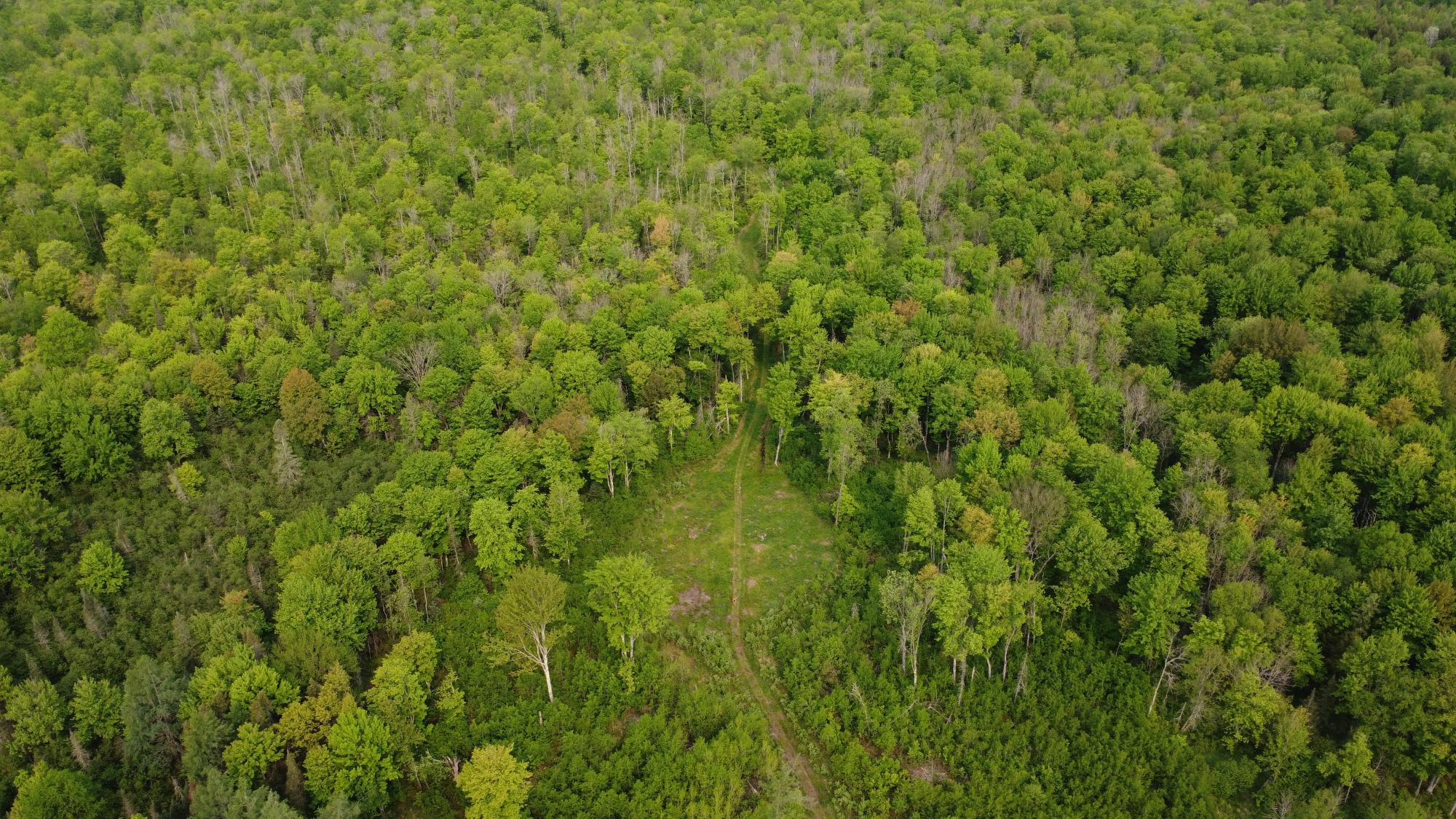 0 Cth H Gleason, WI 54435 - Photo 14 of 27 Gallery Image 14