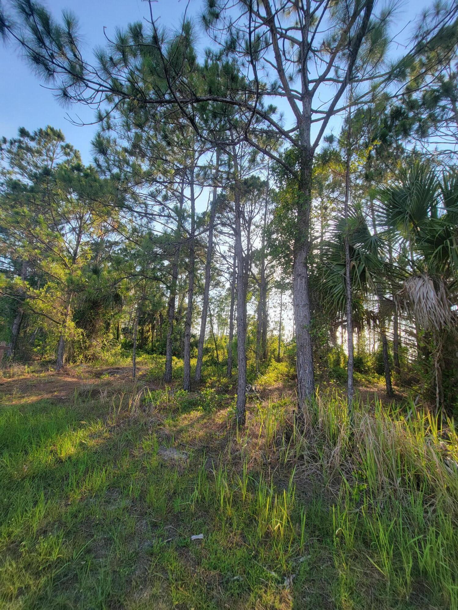 210 Sarah Road Southwest Palm Bay, FL 32908 - Photo 2 of 8 20220623_182604