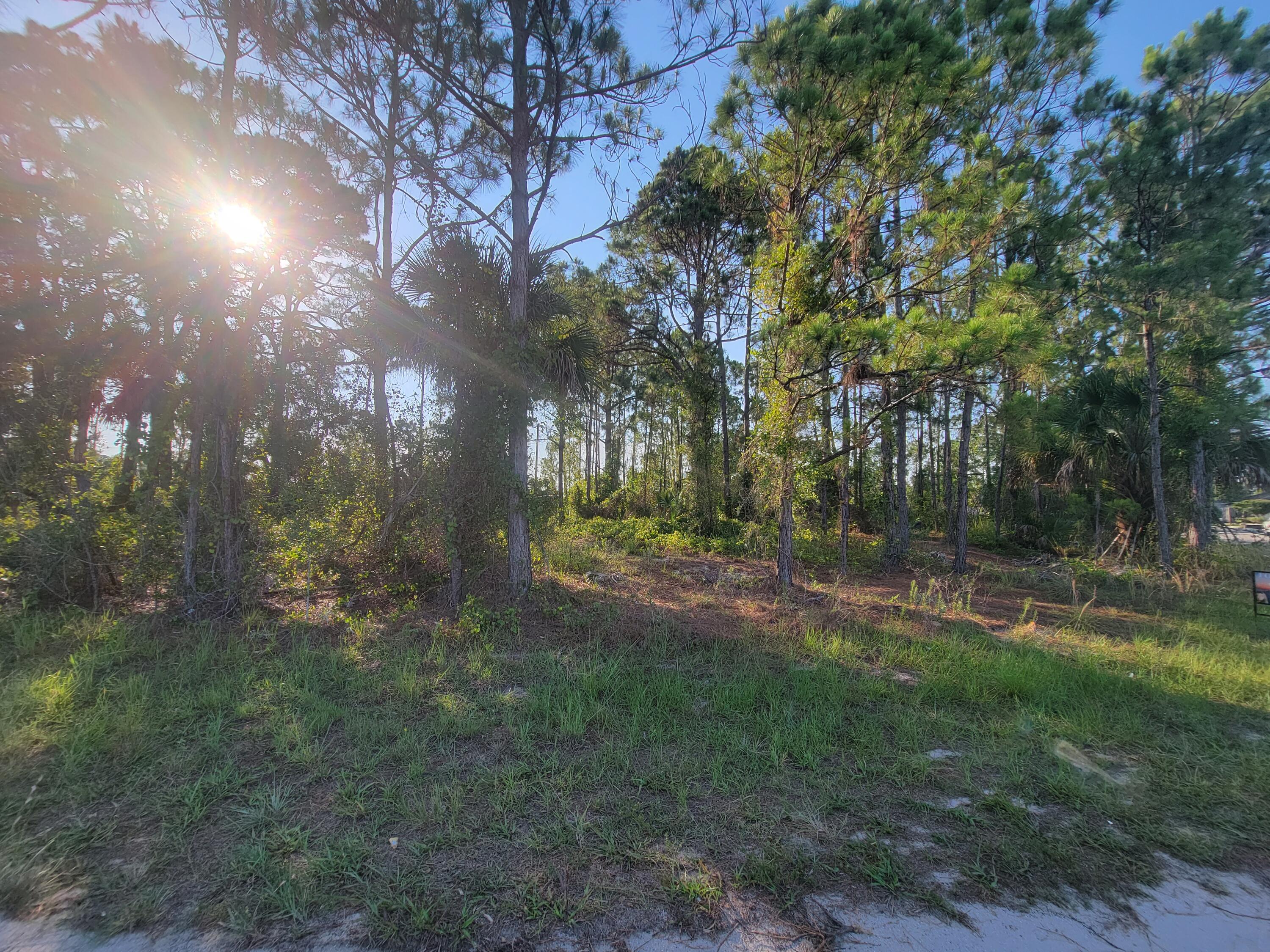 210 Sarah Road Southwest Palm Bay, FL 32908 - Photo 3 of 8 20220623_182405