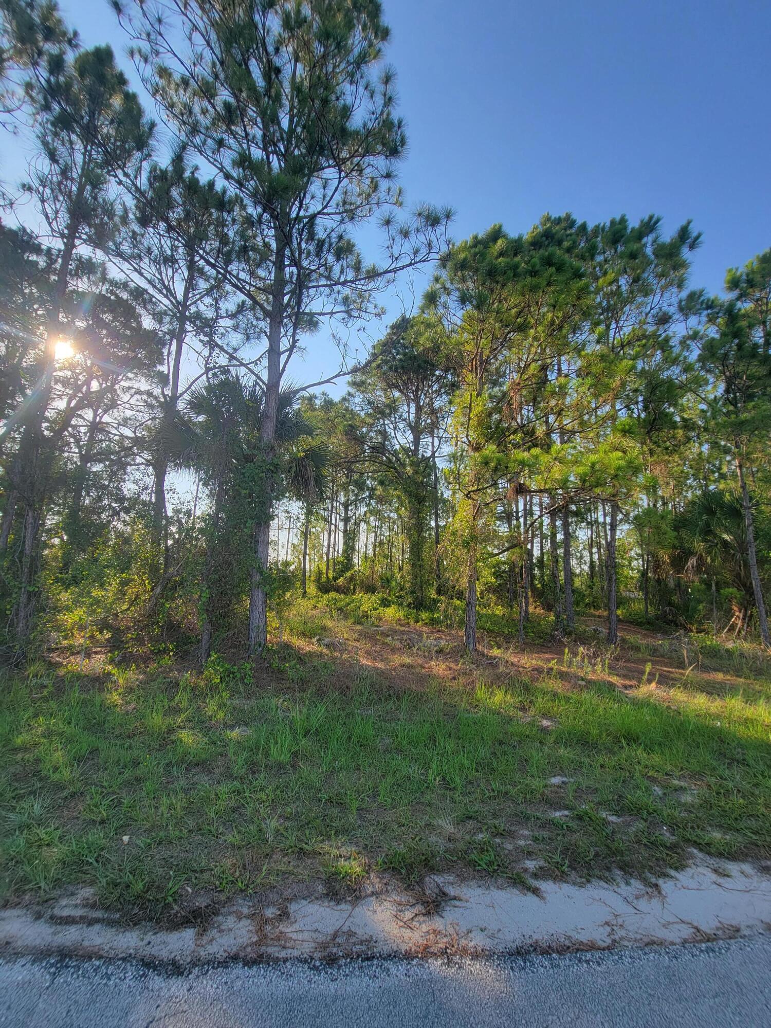 210 Sarah Road Southwest Palm Bay, FL 32908 - Photo 4 of 8 20220623_182411