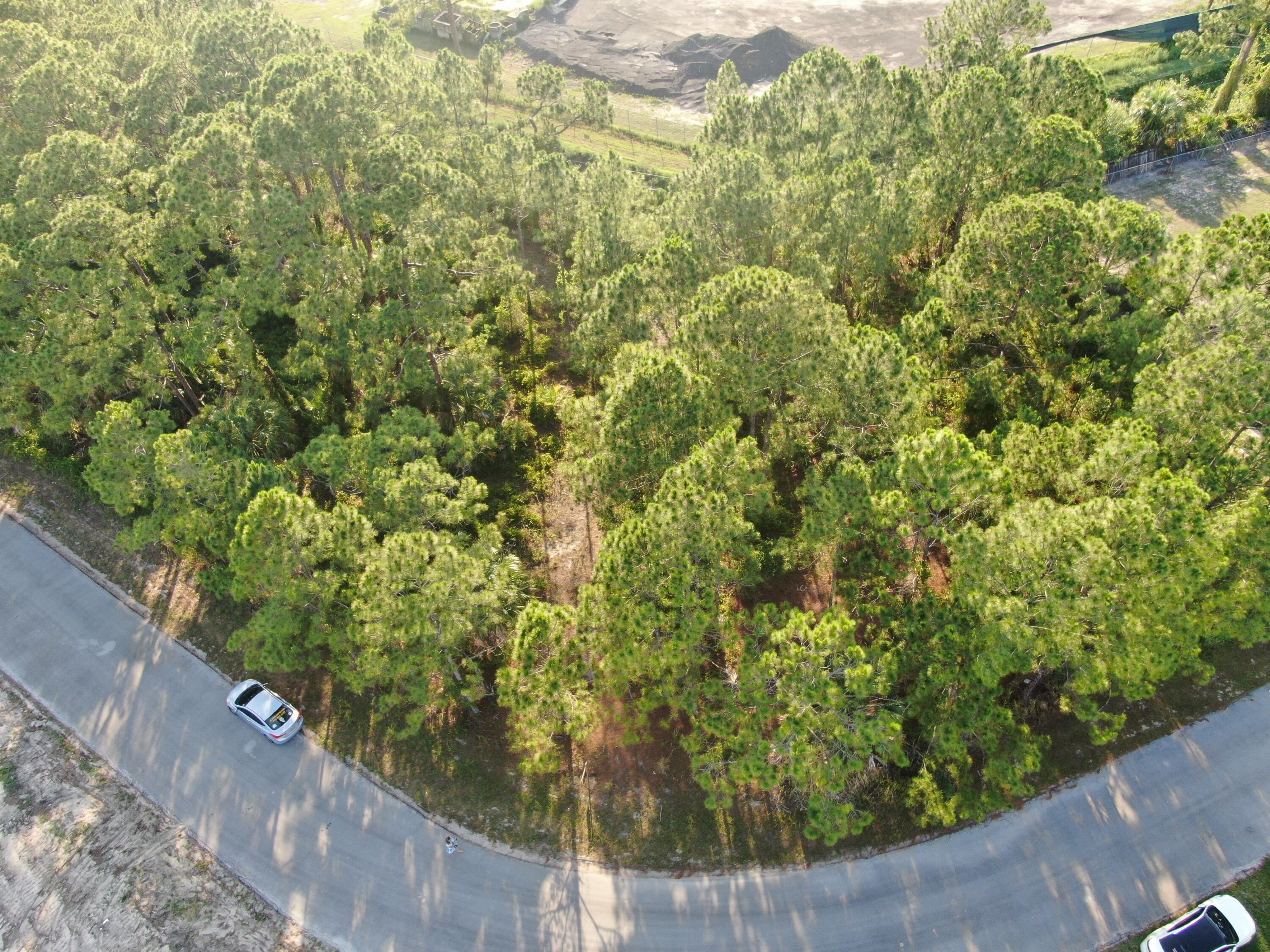 210 Sarah Road Southwest Palm Bay, FL 32908 - Photo 5 of 8 DJI_0106