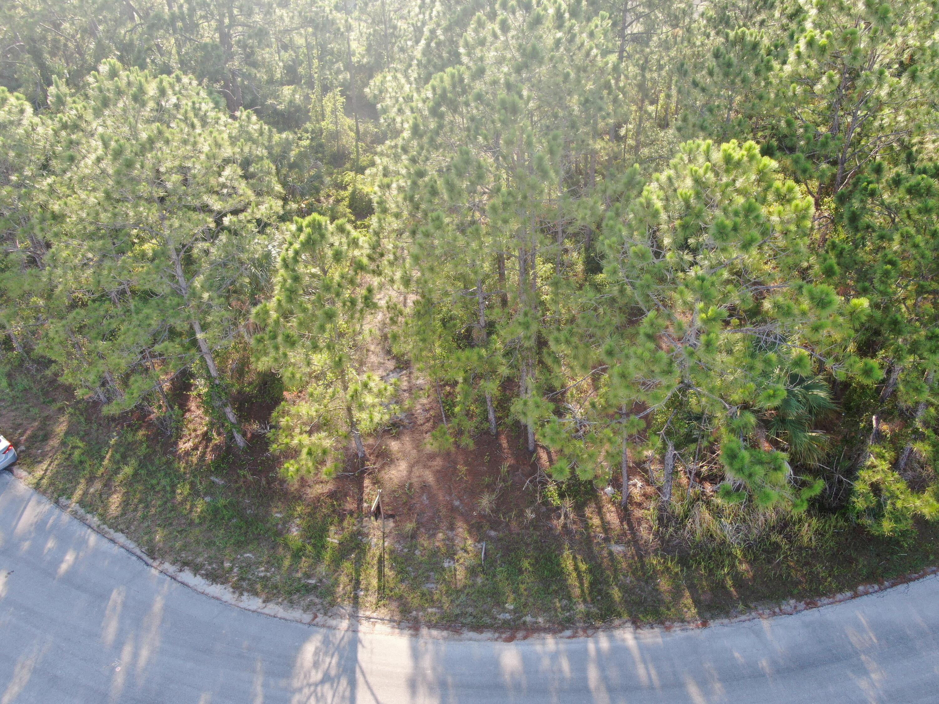 210 Sarah Road Southwest Palm Bay, FL 32908 - Photo 6 of 8 DJI_0103