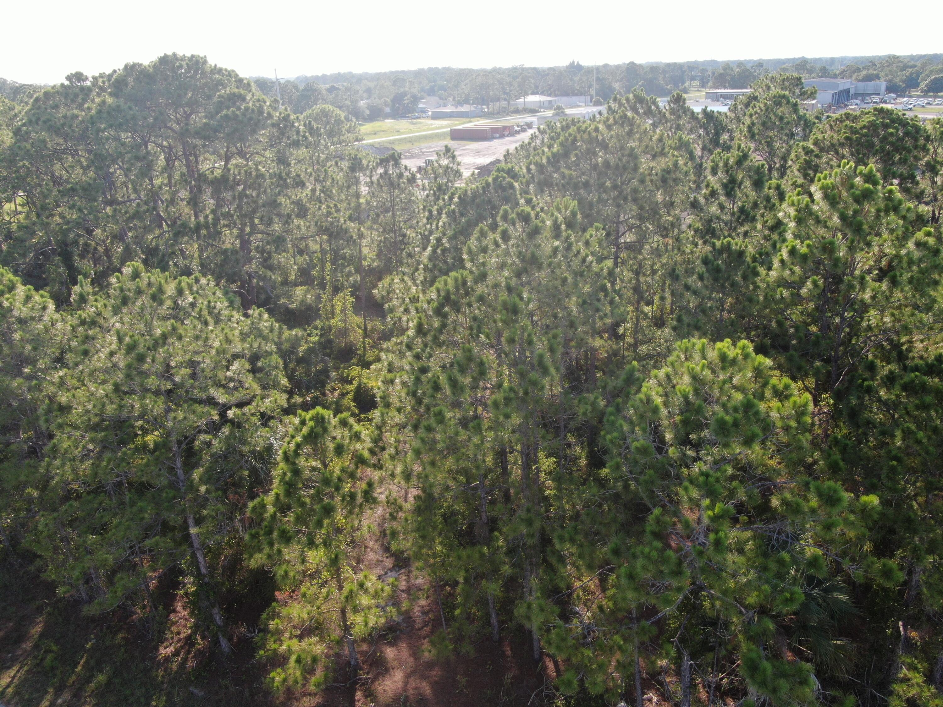 210 Sarah Road Southwest Palm Bay, FL 32908 - Photo 7 of 8 DJI_0104