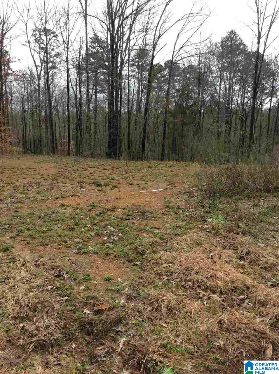 8941 Corner School Road, Unit 3 009 Warrior, AL 35180 - Photo 2 of 5