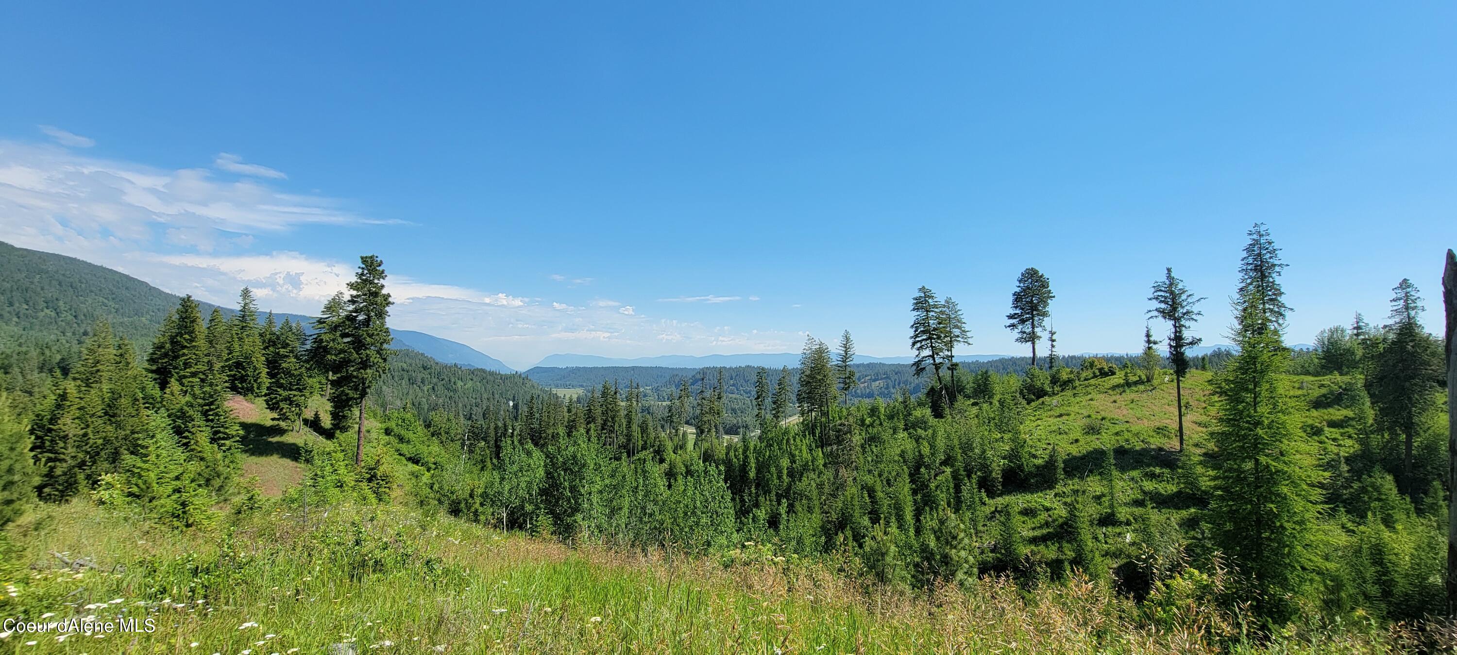 6 Bonners Ferry Naples, ID 83847 - Photo 15 of 22 20220628_095228