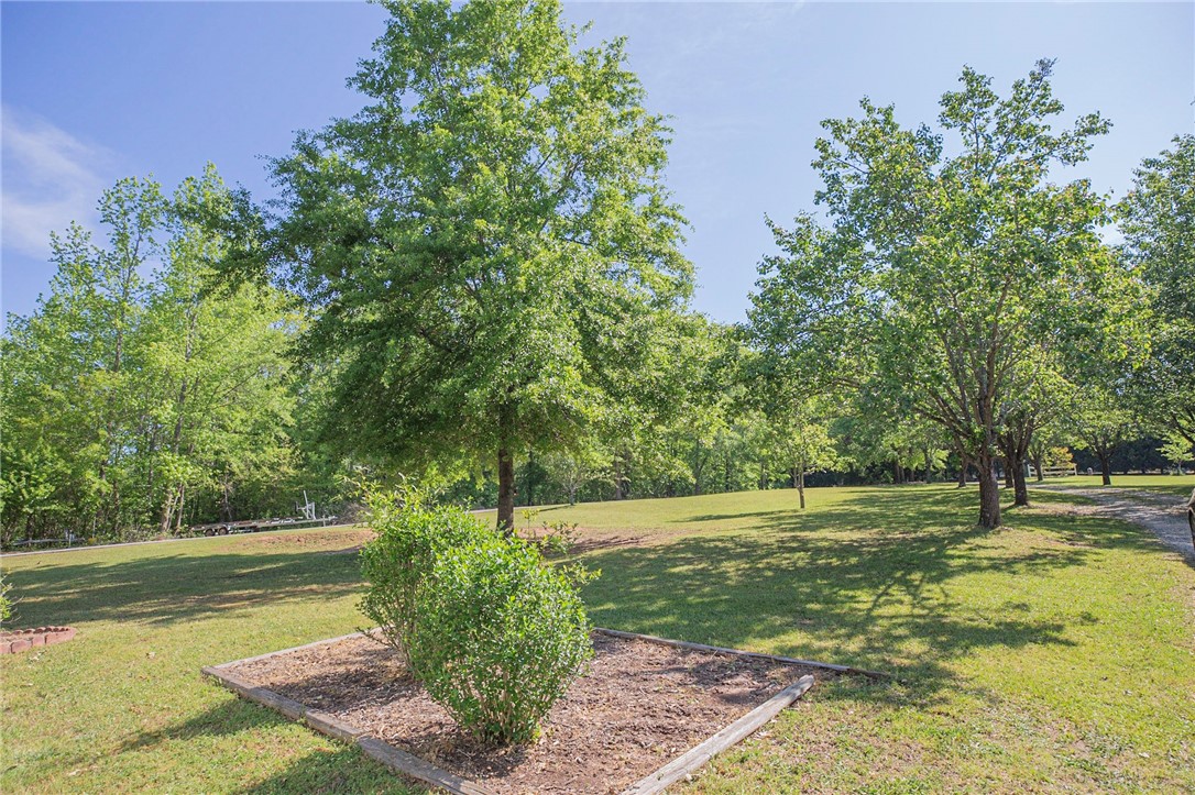 203 Lake Front Road Townville, SC 29689 - Photo 34 of 50 Gallery Image 34