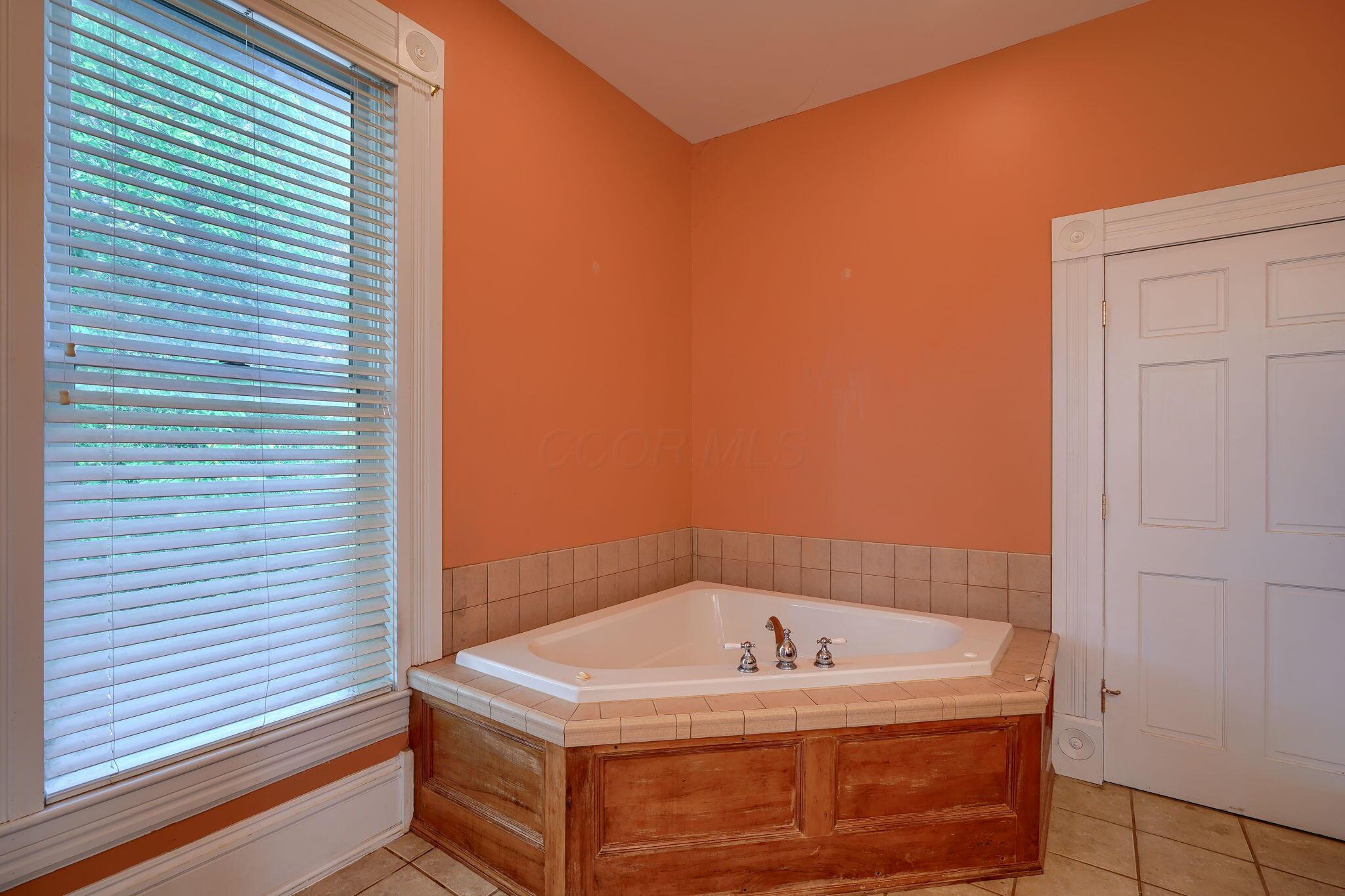1019 South Limestone Street Springfield, OH 45506 - Photo 56 of 65 Jetted tub
