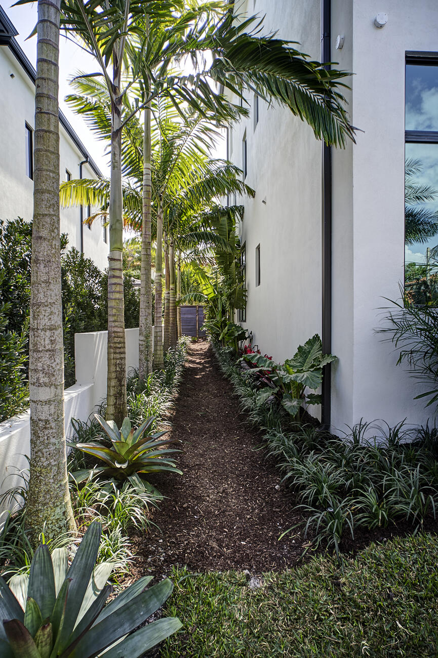 750 Palm Avenue Boca Raton, FL 33432 - Photo 83 of 96 Tropical Side Yard