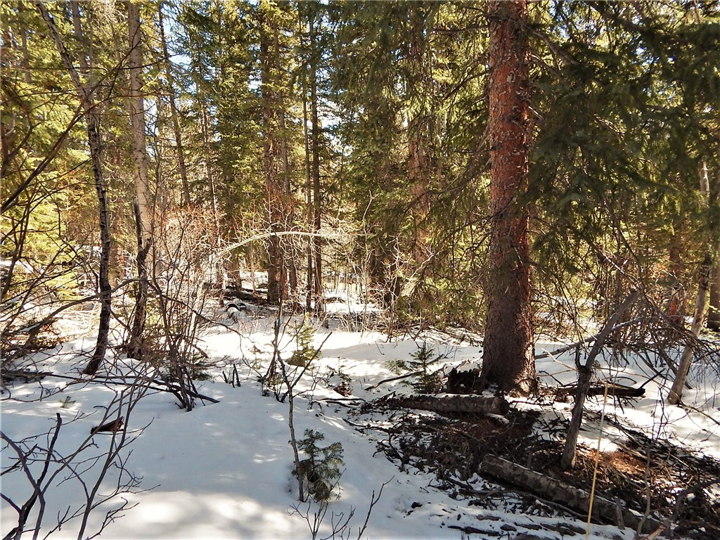 589 Mine Dump Road Alma, CO 80420 - Photo 17 of 26 Gallery Image 17