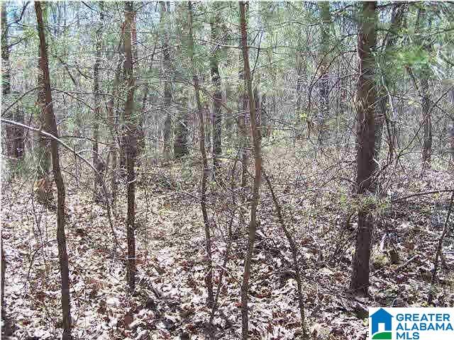 0 Homestead Lane Remlap, AL 35133 - Photo 15 of 23