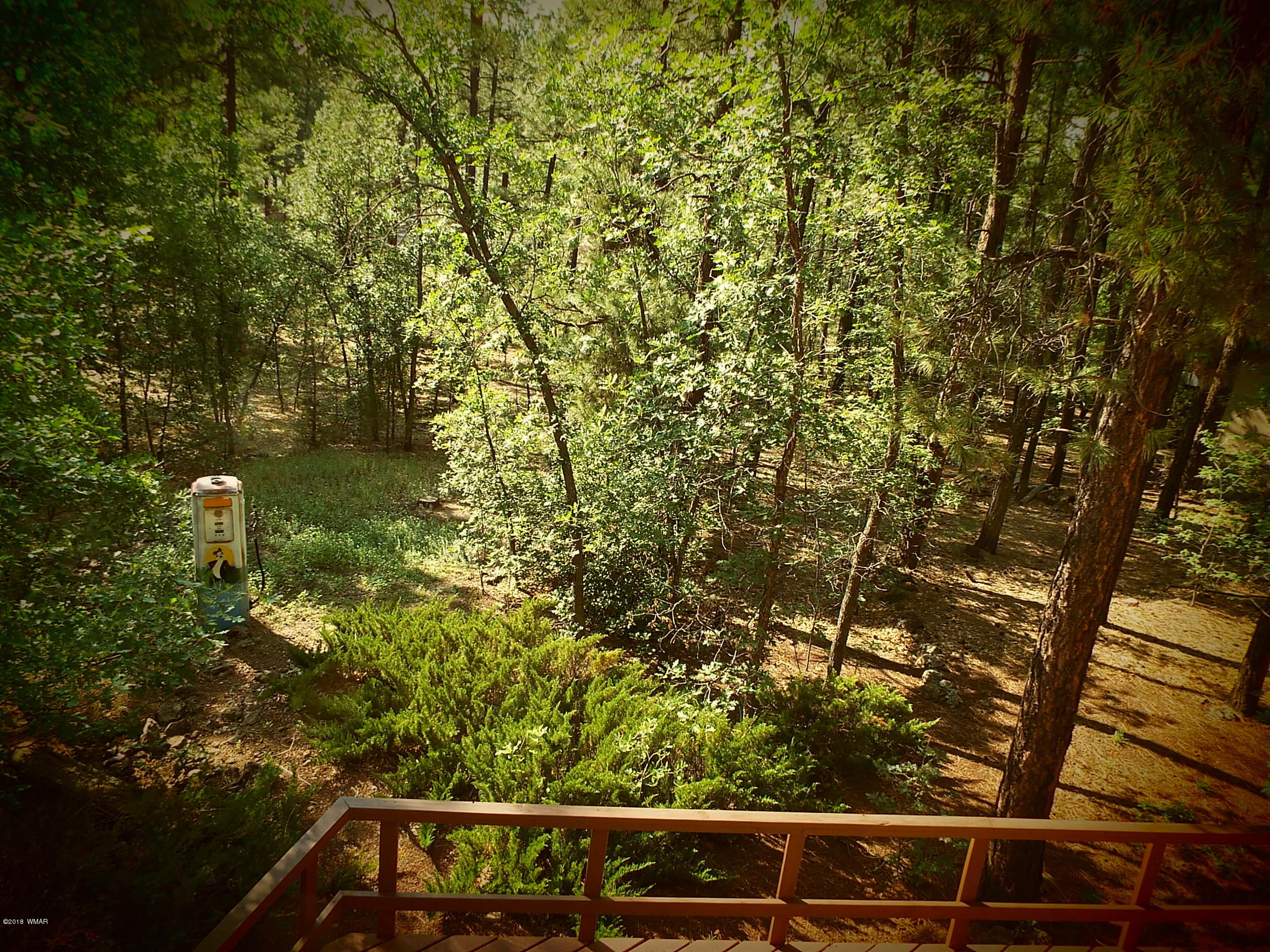 2932 Gooseberry Road Pinetop, AZ 85935 - Photo 25 of 40 Gallery Image 25
