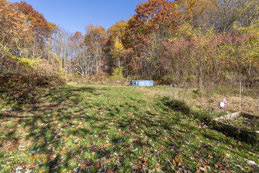 105 Conant Street Gardner, MA 01440 - Photo 3 of 19 a view of a yard with a tree