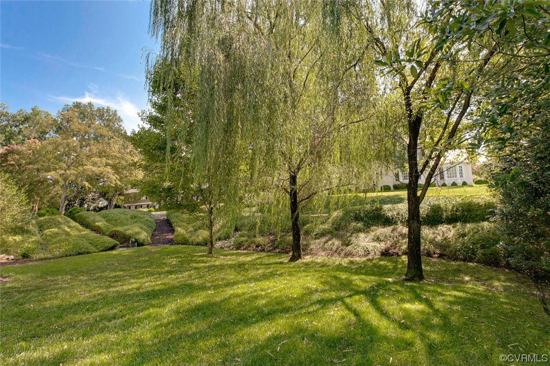 4 South Wilton Road Richmond, VA 23226 - Photo 43 of 49 a view of a yard with a tree