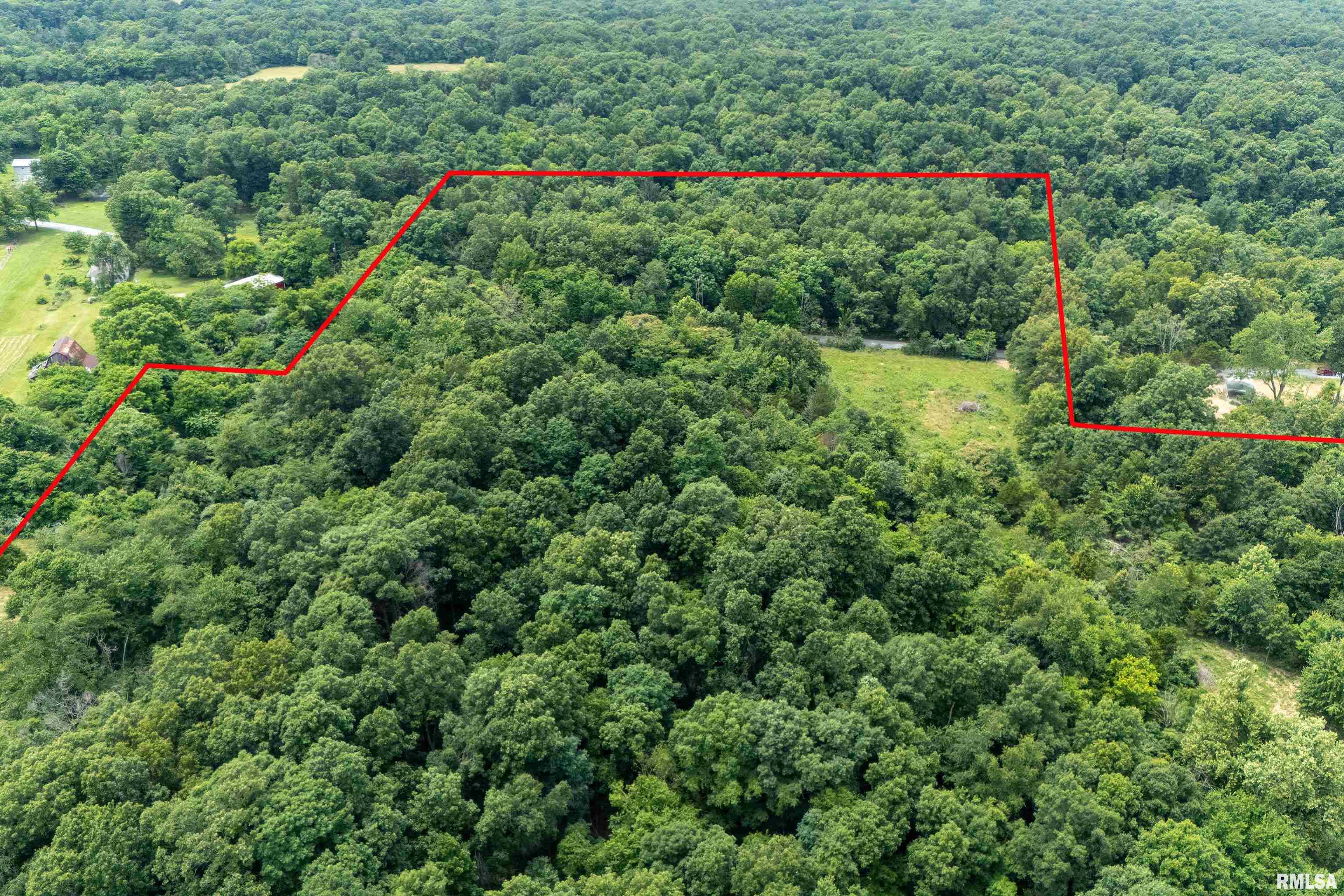16880 Malone Road Thompsonville, IL 62890 - Photo 11 of 44