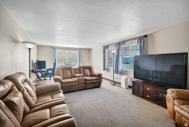 10 North Main Street Centerfield, UT 84622 - Photo 6 of 52 Carpeted living room with a textured ceiling and baseboards