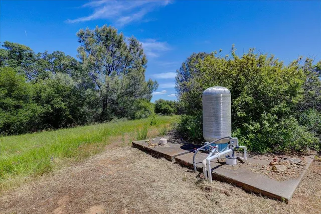 a view of a backyard with plants and a garden
