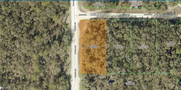 $18,400 | Sharpe Street, Webster, FL 33597