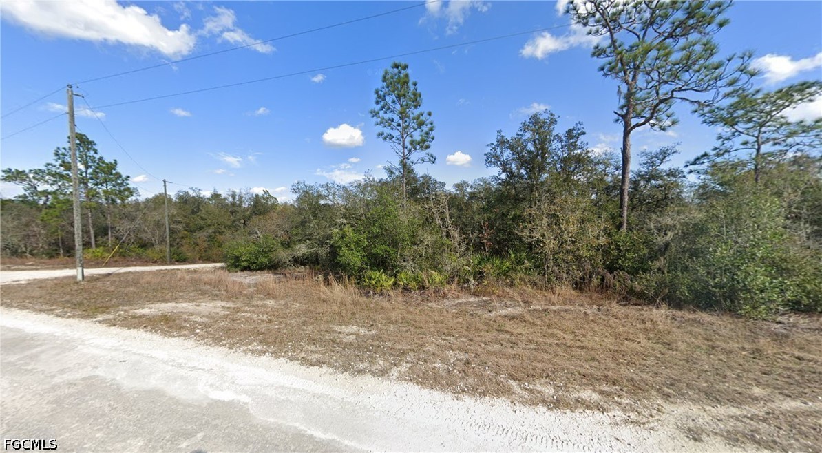 Sharpe Street Webster, FL 33597 - Photo 4 of 5