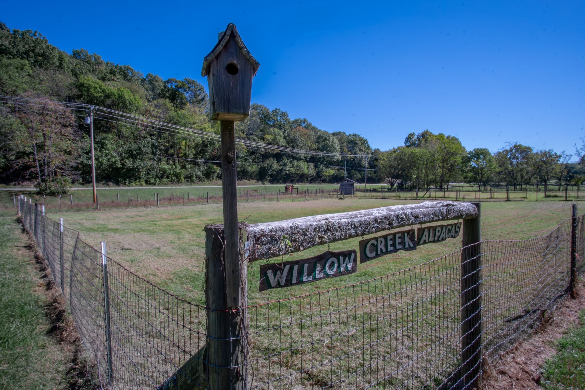 6861 Arno-Allisona Road College Grove, TN 37046 - Photo 4 of 68