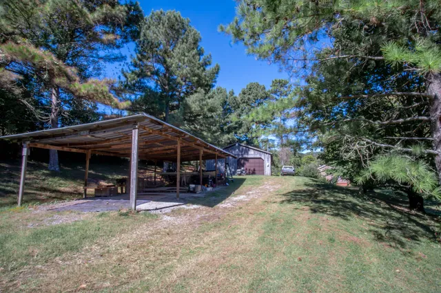a view of backyard with green space