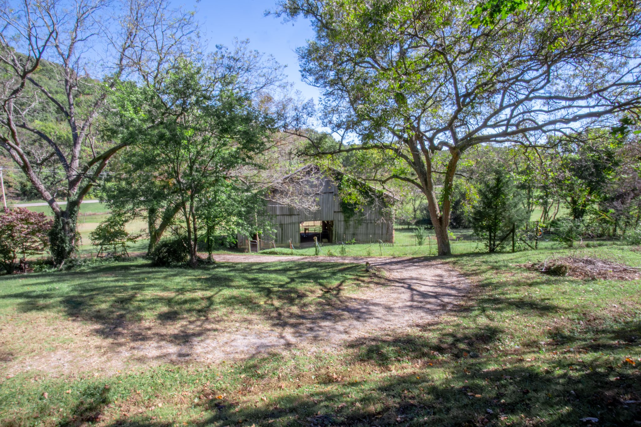 6861 Arno-Allisona Road College Grove, TN 37046 - Photo 54 of 68 a view of a trees in a yard