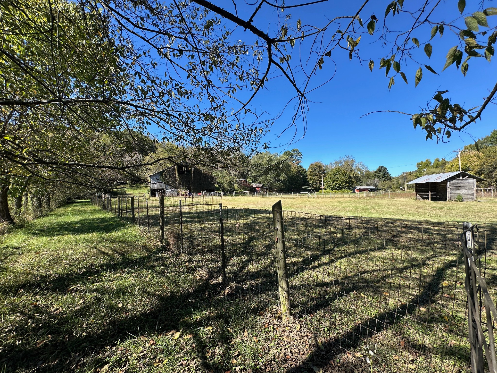 6861 Arno-Allisona Road College Grove, TN 37046 - Photo 59 of 68 a view of a yard