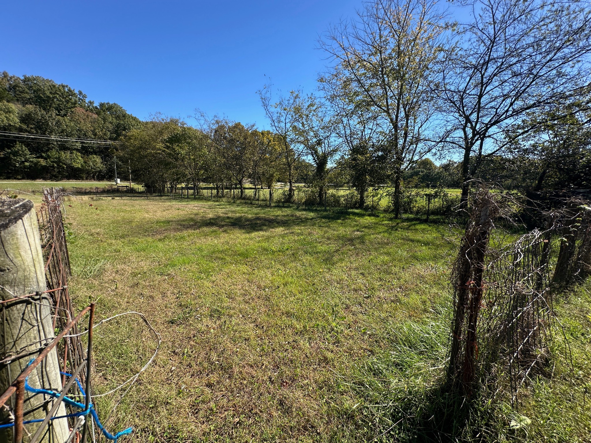 6861 Arno-Allisona Road College Grove, TN 37046 - Photo 61 of 68 a view of a yard