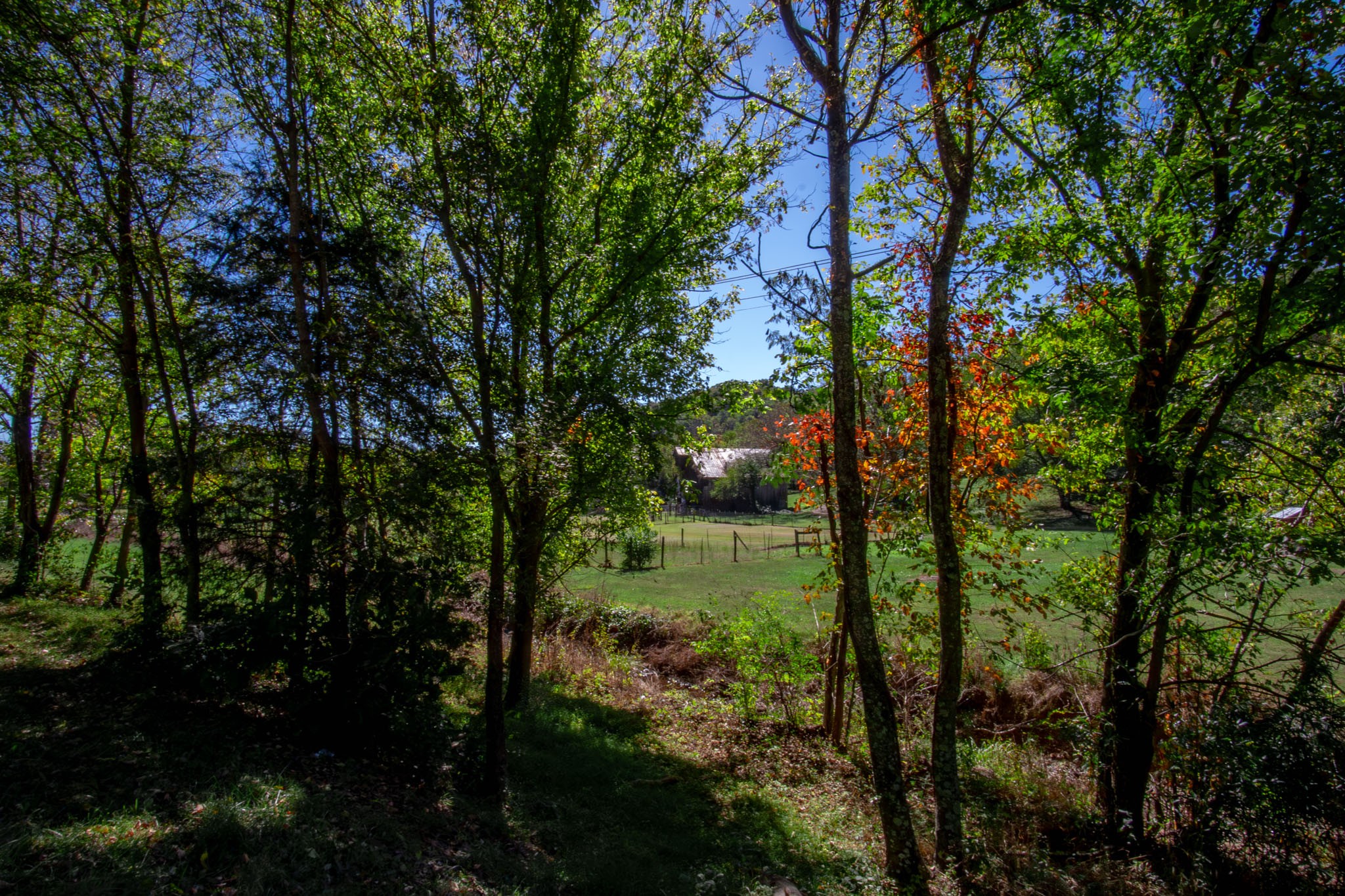 6861 Arno-Allisona Road College Grove, TN 37046 - Photo 68 of 68 a view of backyard with green space