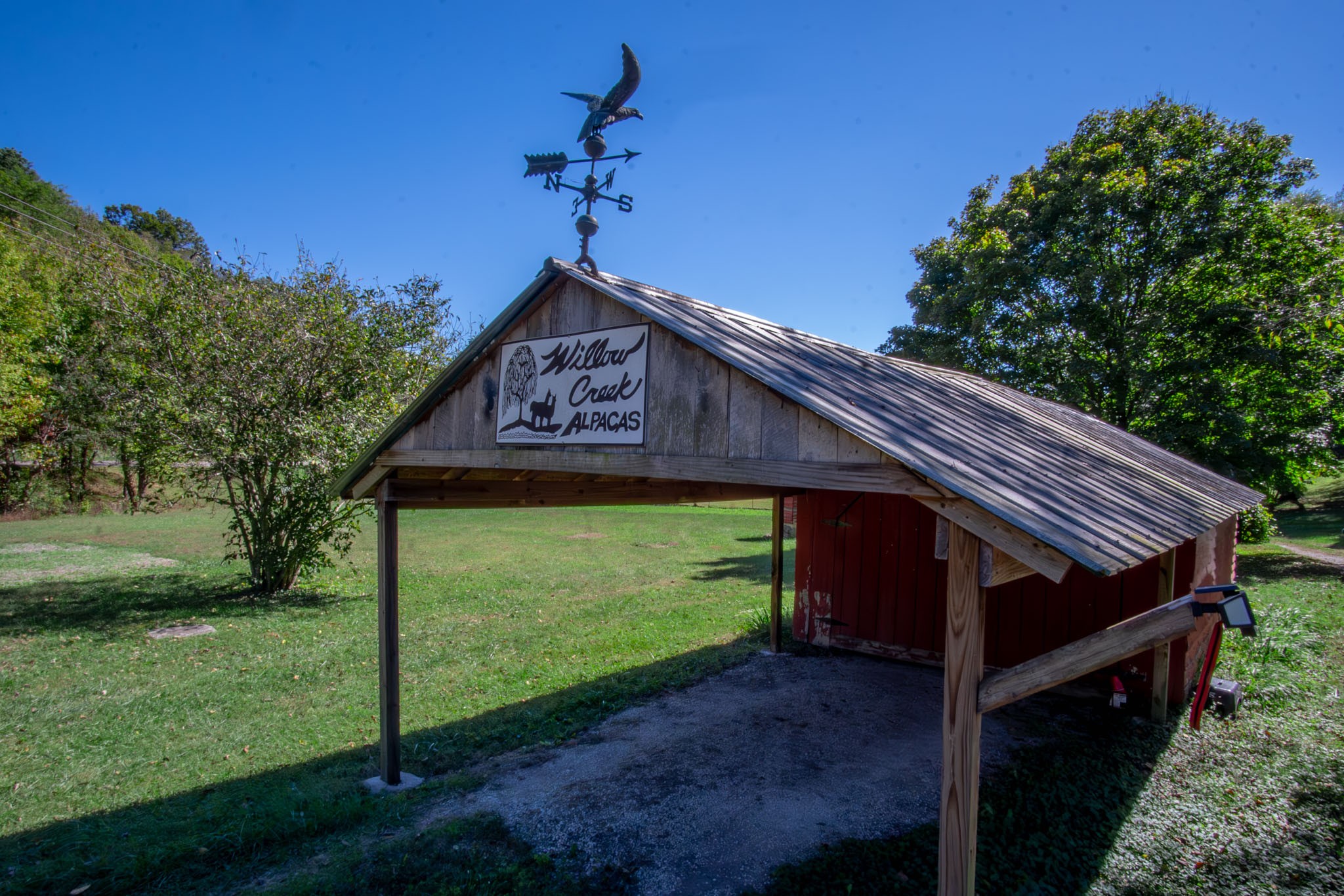 6861 Arno-Allisona Road College Grove, TN 37046 - Photo 7 of 68 a view of a backyard with a plants