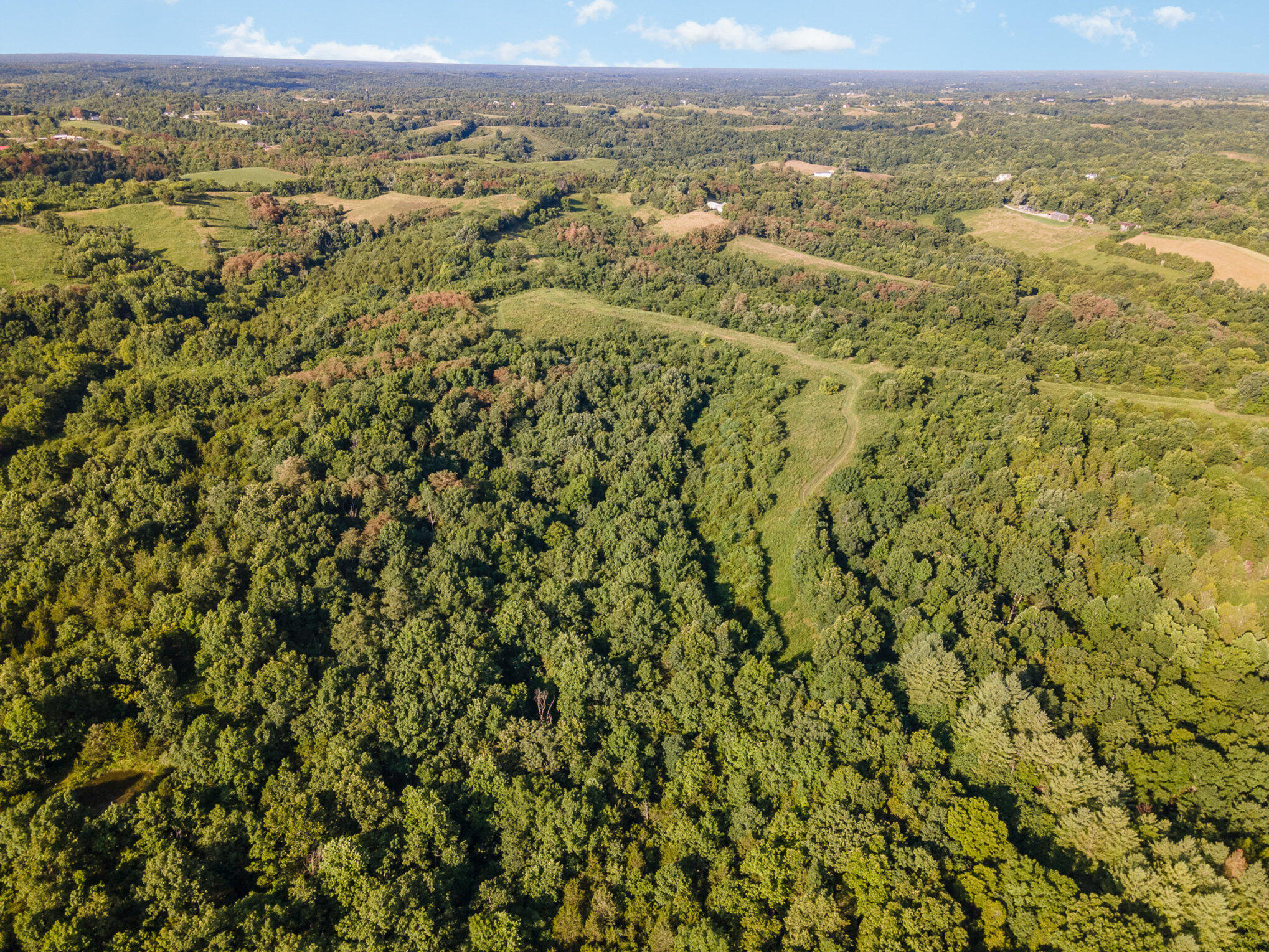 58.6-acres Delaney Road Corinth, KY 41010 - Photo 15 of 15 Gallery Image 15