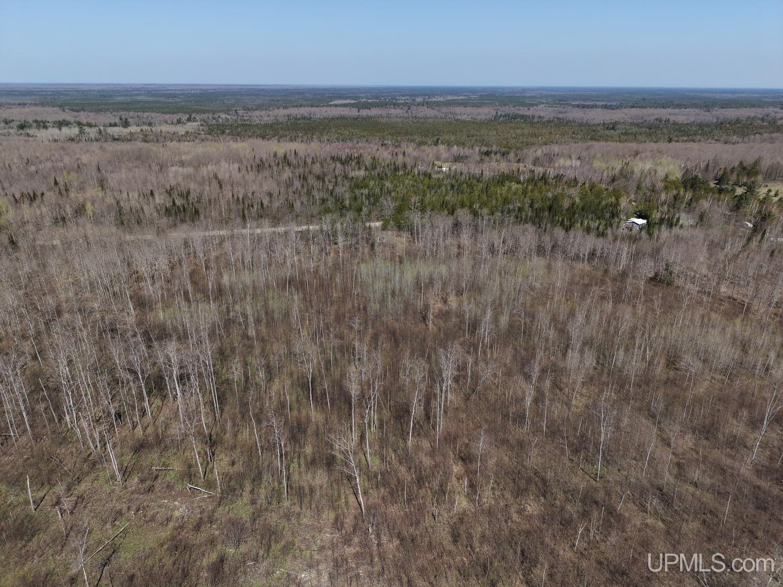 2493 Letson Road Gulliver, MI 49840 - Photo 40 of 56