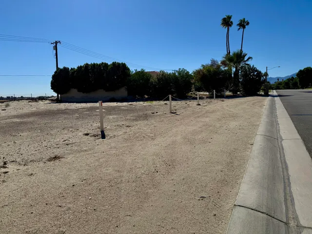 a view of a dry yard with a tree