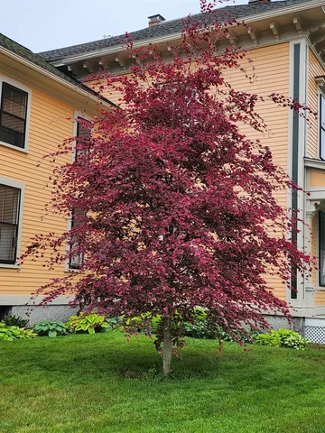 $549,000 | 527 Hanover Street, Manchester, NH 03104