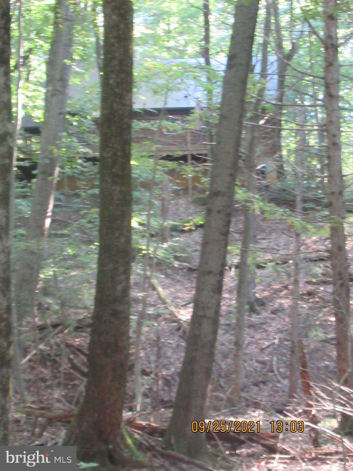 448 Airport Road Bethel, PA 19507 - Photo 17 of 50 Gallery Image 17