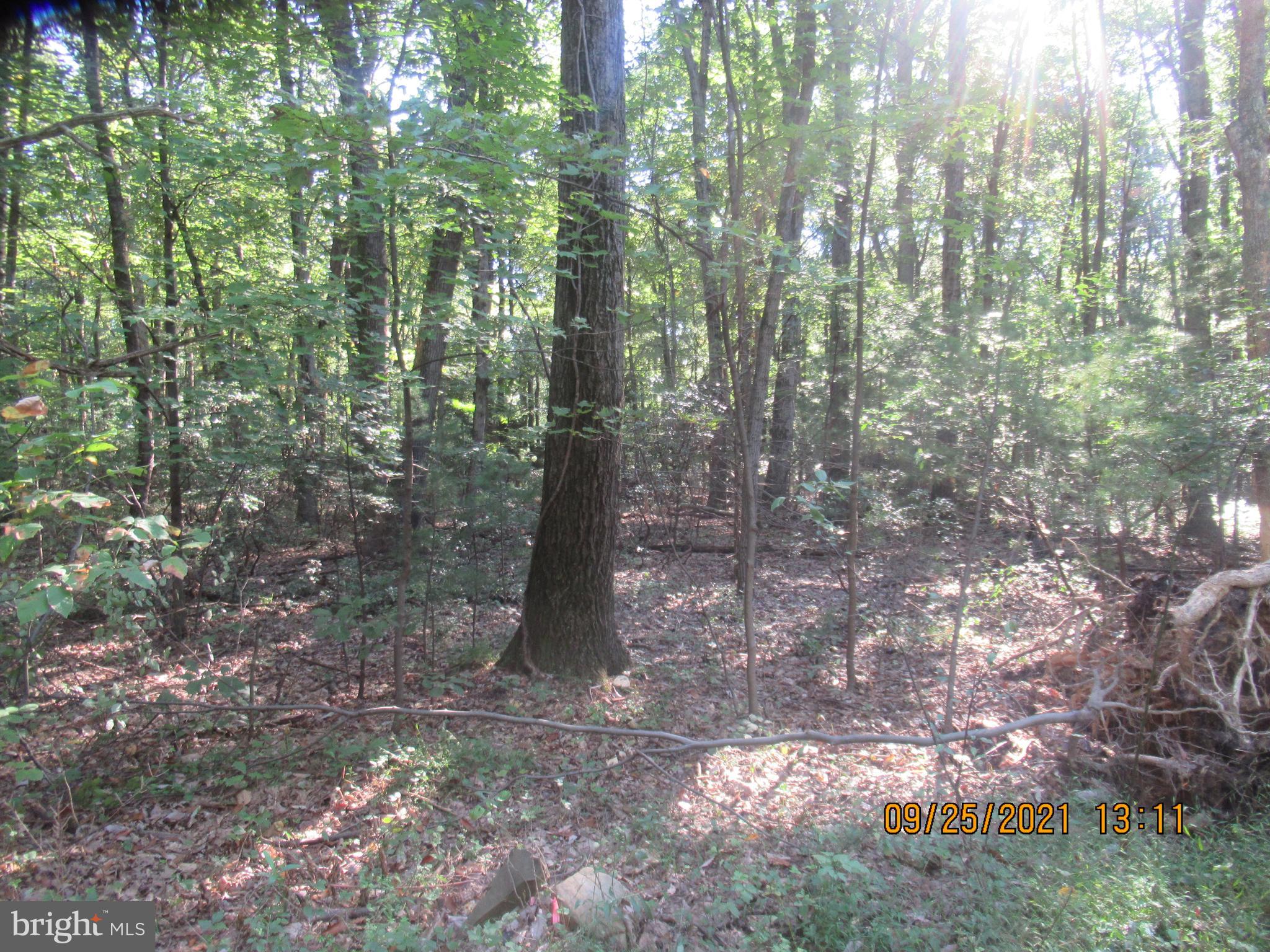 448 Airport Road Bethel, PA 19507 - Photo 22 of 50 Gallery Image 22