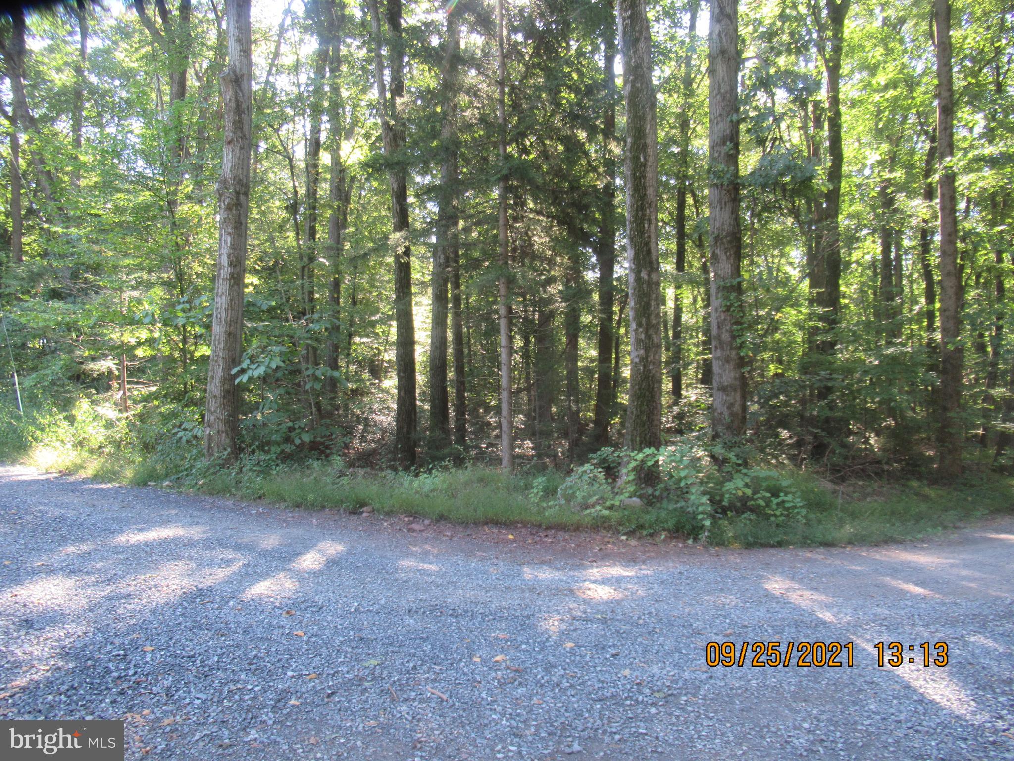 448 Airport Road Bethel, PA 19507 - Photo 26 of 50 Gallery Image 26