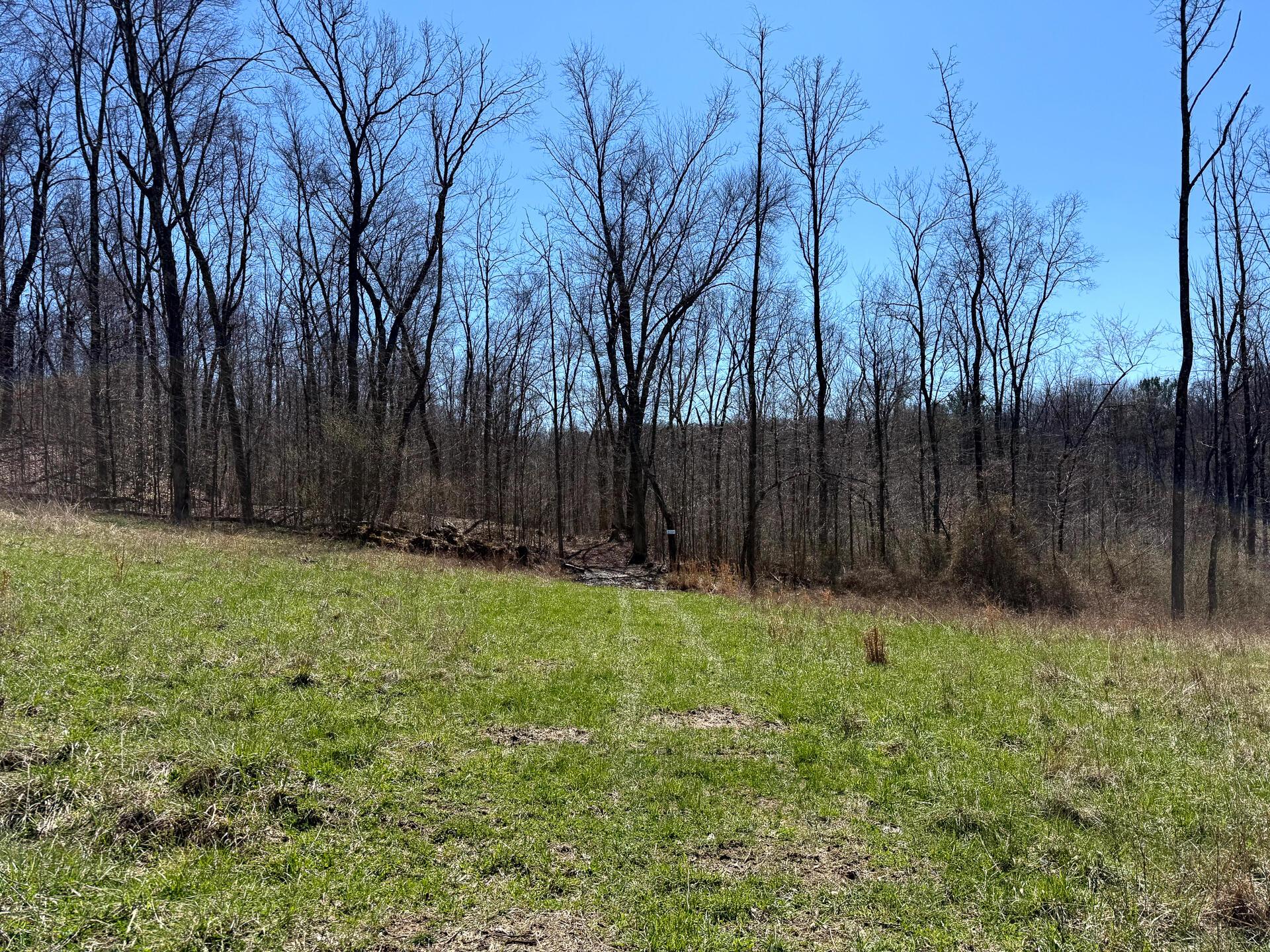 0 Dutch Ridge Road Southeast, Unit WOODS TURKEY RUN TRACT 5) New Lexington, OH 43764 - Photo 18 of 58 CT-18