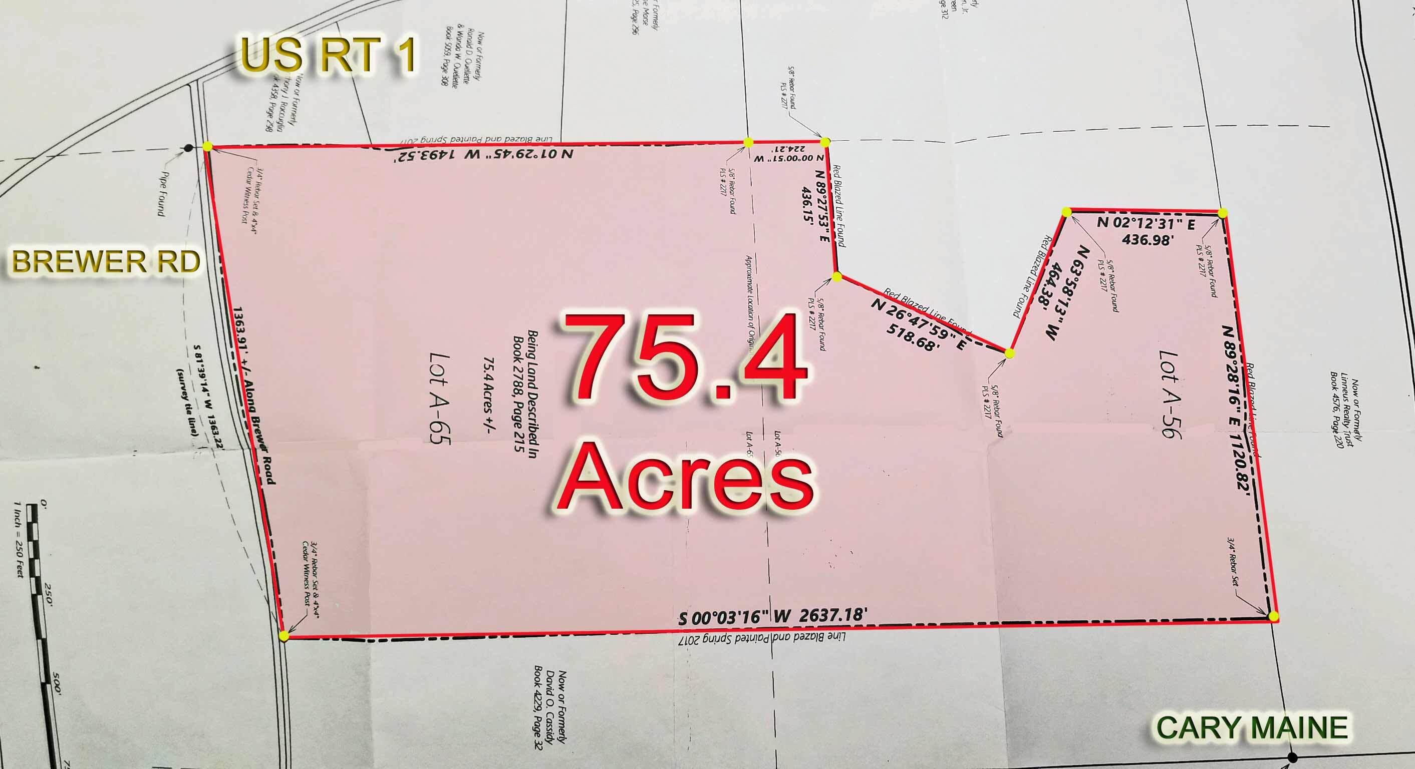 Lot 16 Brewer Road Orient, ME 04471 - Photo 5 of 26 survey-map-maine-land-cary
