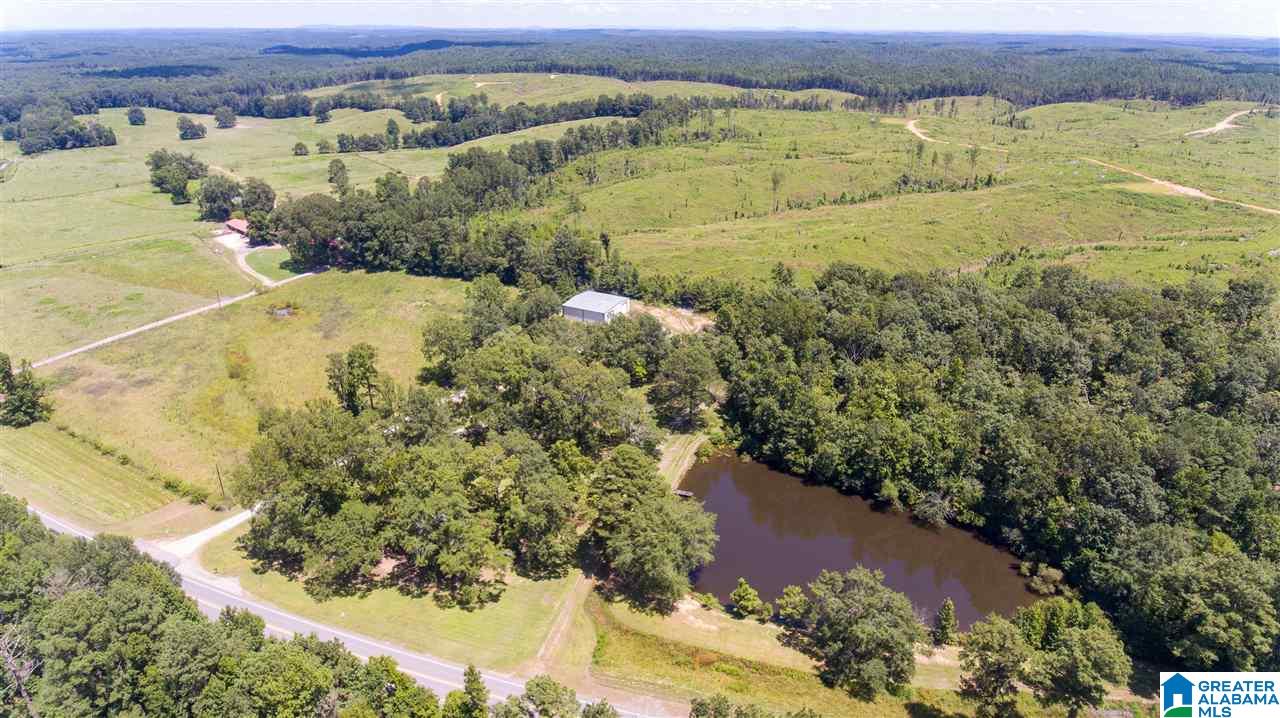 29200 Highway 31 Calera, AL 35040 - Photo 42 of 50