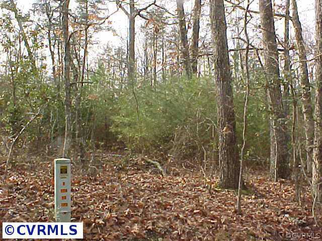 0 McBryant Road Ruther Glen, VA 22546 - Photo 1 of 3 Exterior Front