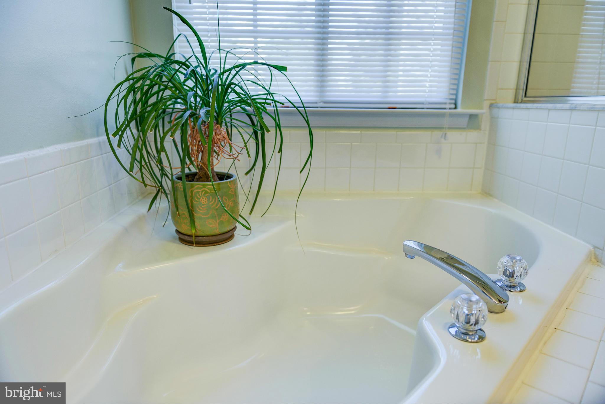 770 Shallow Ridge Court Abingdon, MD 21009 - Photo 15 of 22 Bath (Master)